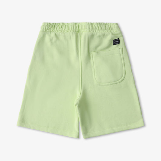 VOLCOM KIDS/BOYS PARROT SHORTS